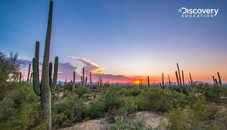 Arizona’s Apache Junction Unified School District Supports Innovative Teaching and Learning with New EdTech Resources 