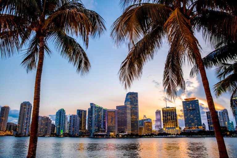 Miami Florida Skyline And Bay At Sunset Seen Through Palm