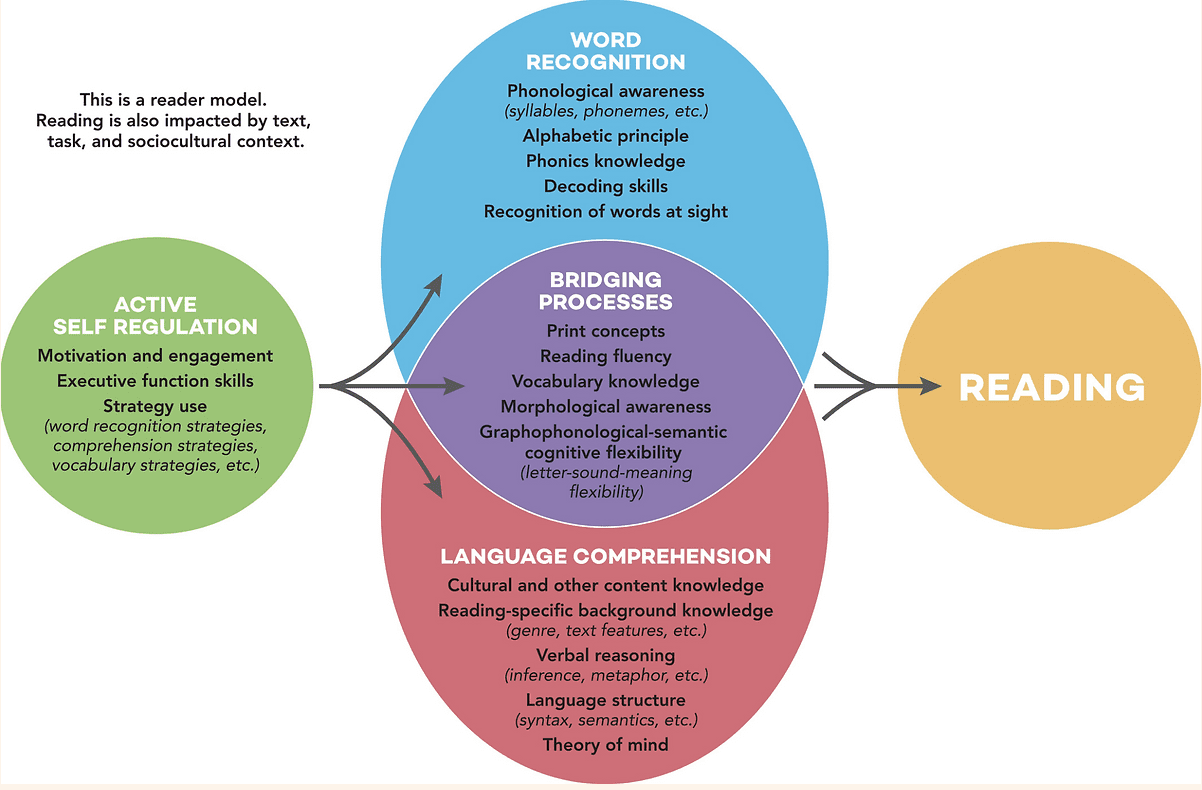 Active View of Reading